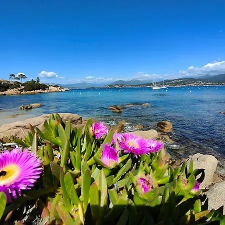 Appartement Neuf Et Climatise A 2 Min Des Plages
