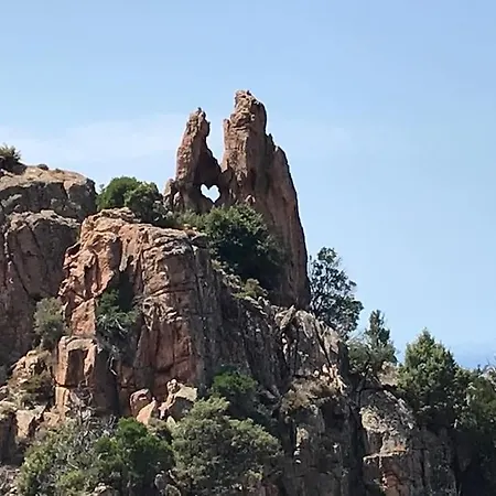 Neuf Et Climatise A 2 Min Des Plages Appartement Pietrosella